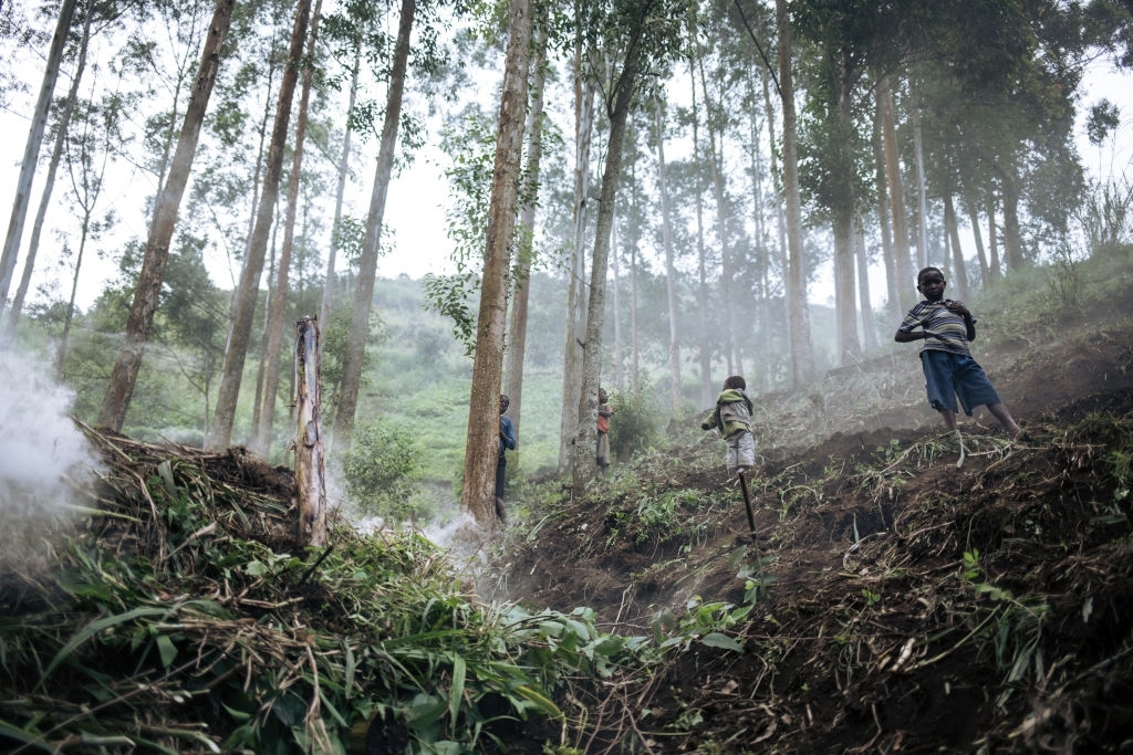 Kongo : Enam Ranger Penjaga Hutan Tewas